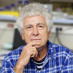 Dr Miroslav Radman 